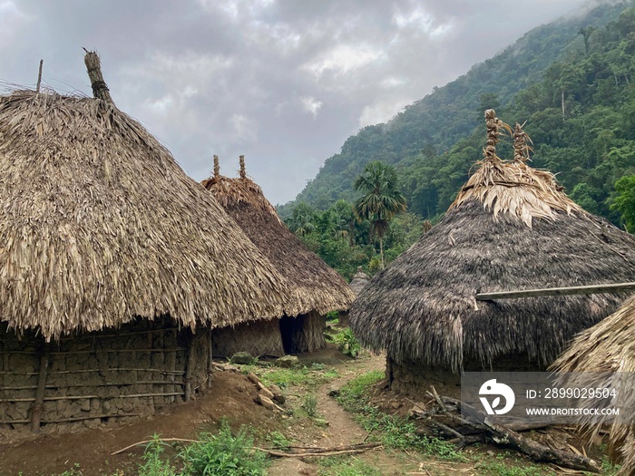 Primitive Jungle Village and Huts