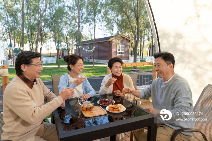 中老年人在露营地喝茶聊天