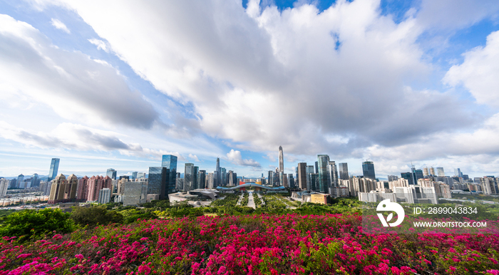 深圳城市风光