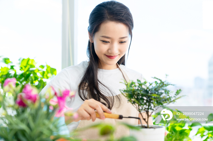 年轻女子在家种植盆栽