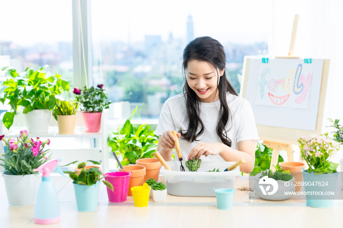 年轻女子在家种植盆栽