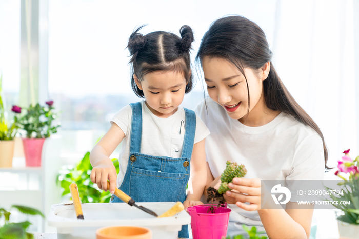 快乐的母女俩在家种植盆栽