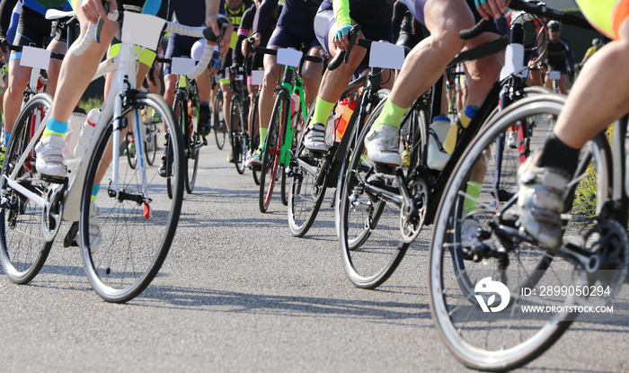 professional cyclists engaged in a road race