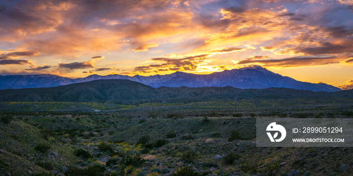 Coachella Valley Sunset