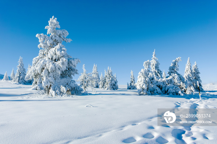 Winter landscape of Vitosha Mountain, Bulgaria