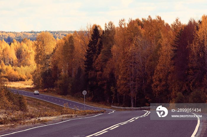 Highway autumn landscape