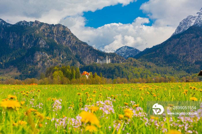 Beautiful view of world-famous Neuschwanstein Castle, the nineteenth-century Romanesque Revival palace built for King Ludwig II on a rugged cliff near Fussen, southwest Bavaria, Germany.