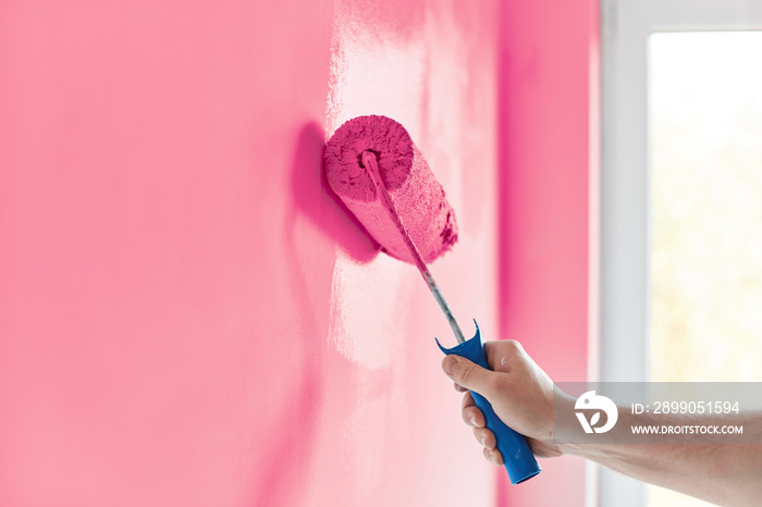 Male hand painting wall with paint roller. Painting apartment, renovating with pink color paint