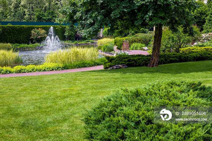 park with green grass lawn and pond with reeds and fountain summer backyard landscape with stone tile trail for walking through the garden with plants, nobody.