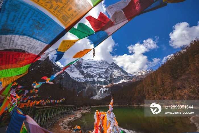 Tibetan prayer flags with Yading national reserve