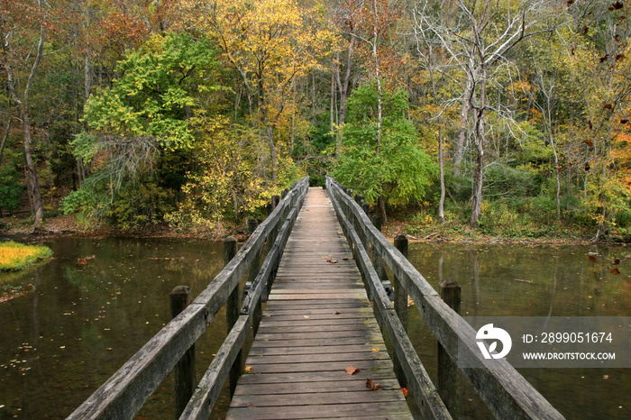 Wooden Foot Bridge