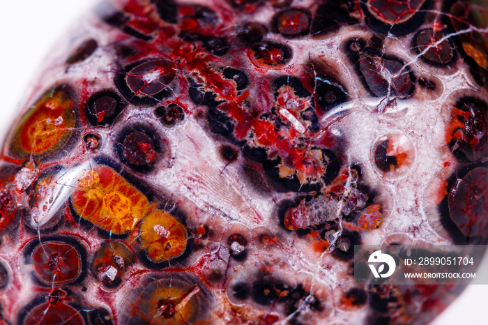 Macro mineral stone Jasper leopard on white background