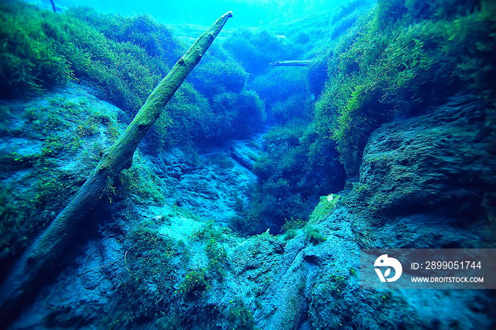 view underwater lake, freshwater landscape ecosystem clear water