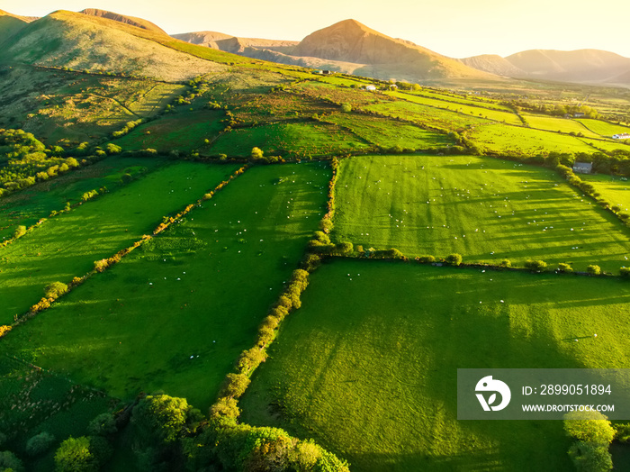 Aerial view of endless lush pastures and farmlands of Ireland. Beautiful Irish countryside with emerald green fields and meadows.