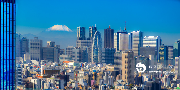 Tokyo skyline,  Japan.