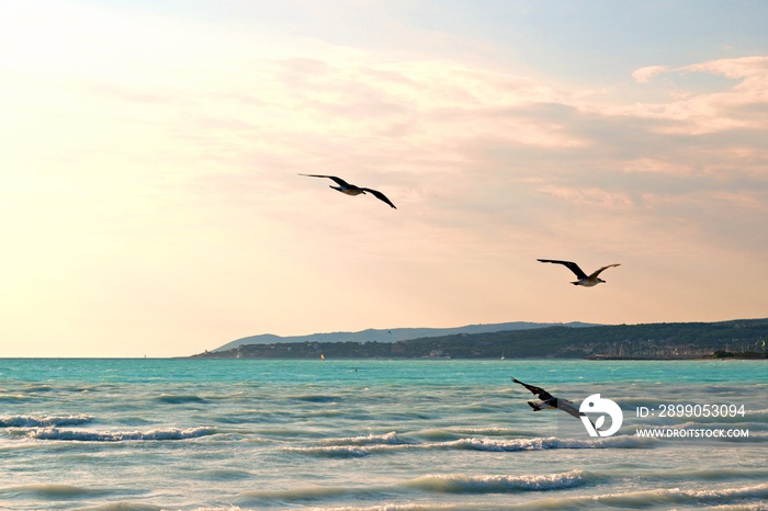 landscape of the White Beaches, sandy coast located in the municipality of Rosignano Marittimo in Tuscany Italy, between the hamlets of Rosignano Solvay and Vada