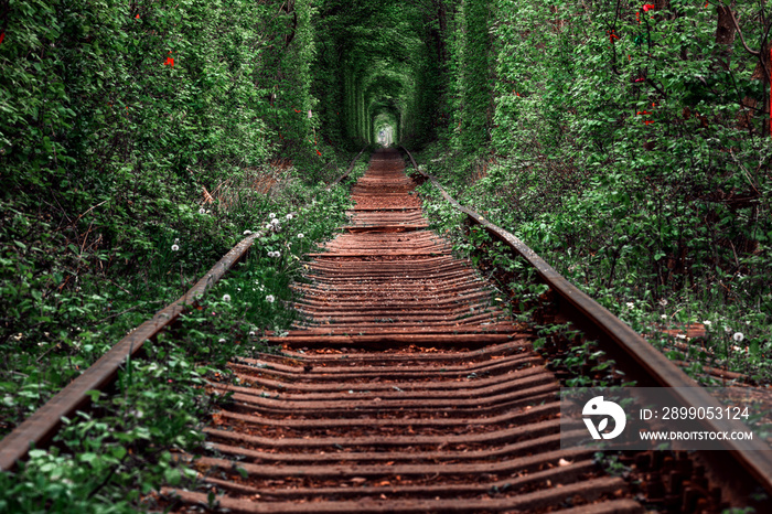 a railway in the spring forest. Tunnel of Love, green trees and the railroad