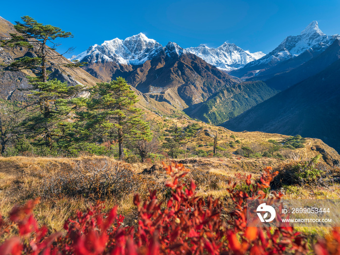 view to valley Khumbu and summits Everest and Ama Dablam through red leaves in clear sunny day