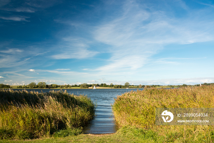 Badestelle an der Schlei mit Schilfgürtel