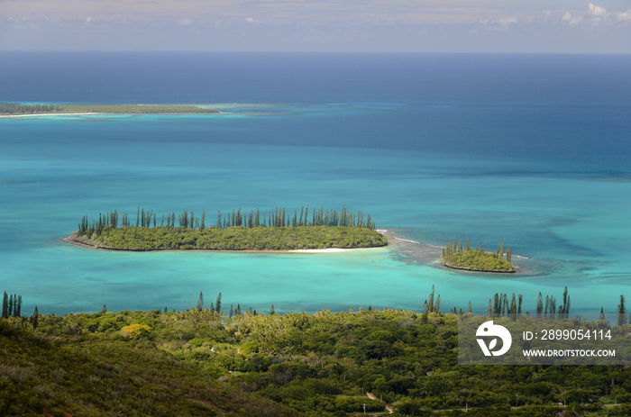 paysage paradisiaque et lagon