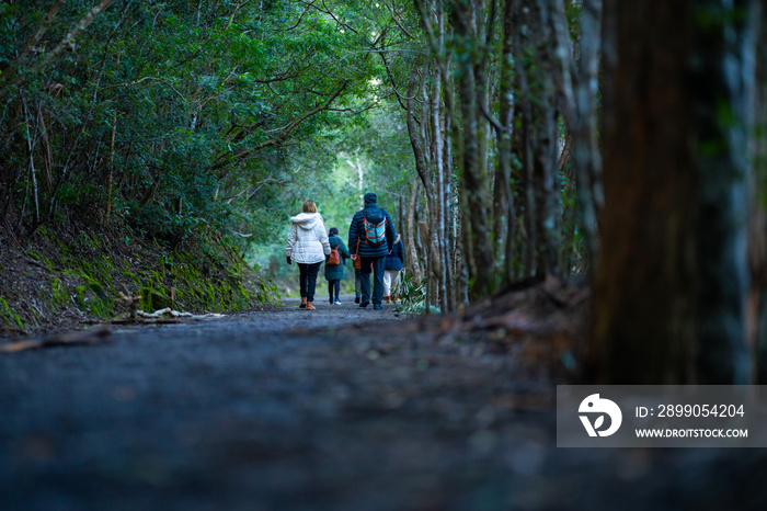 hiking in the woods