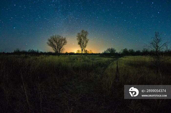 Milky way and stars over the field at night lights . Trees over the nightsky