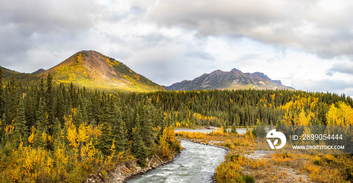 Scenic view of Savage river in Denali national park at fall