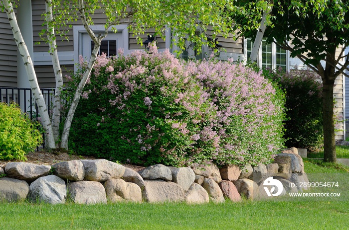 Landscaping and Rock Retaining Wall