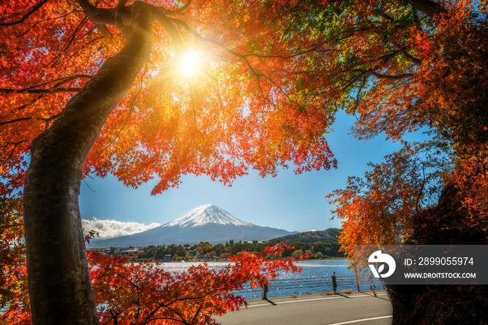 Mount Fuji in Autumn Color, Japan