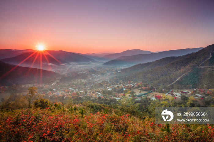 A foggy morning as the sun shines over the autumn town in rural Australia