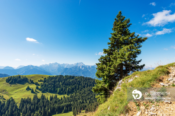 Carnic Alps and Julian Alps seen from the Osternig or Oisternig peak, Italia Austria border. Tarvisio, Udine province, Friuli Venezia Giulia, Italy, Europe.