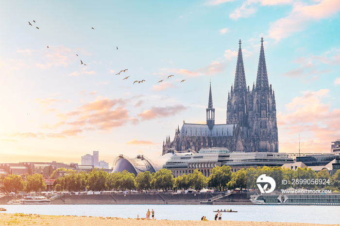 Scenic view of the Rhine River beach and the Cologne skyline with picturesque birds and recognizable architectural silhouettes of the famous Koln Cathedral