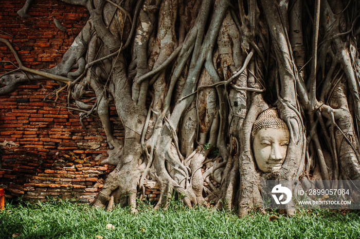 Ayutthaya Buddha Head statue with trapped in Bodhi Tree roots at Wat Mahathat temple is favorite place of Ayutthaya and world heritage.