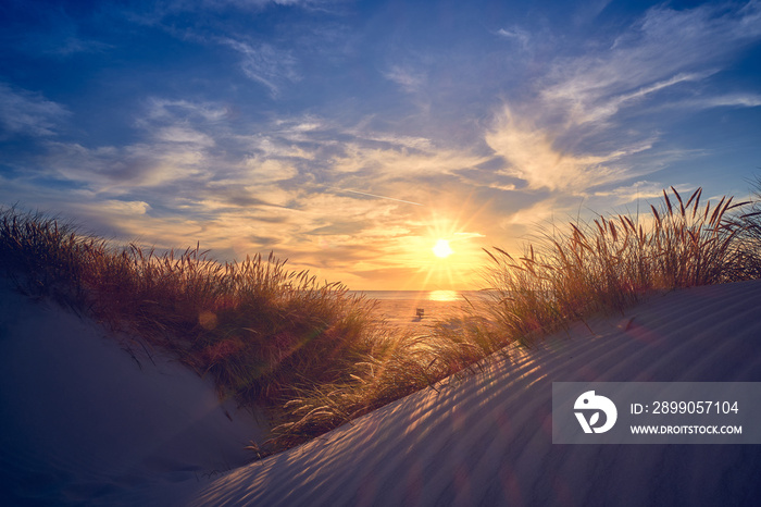 Sunset in the Dunes of northern Denmark. High quality photo