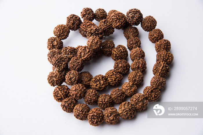 rudraksha mala over plain background showing macro details, used for japa or prayer in hindu religion