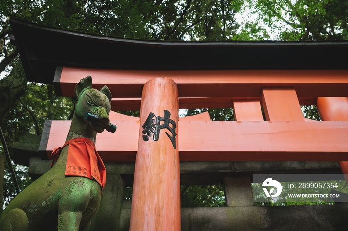 Fox kisune statue in front of orange torii gate in forest at the Fushimi Inari Taisha shrine in Kyoto, Japan