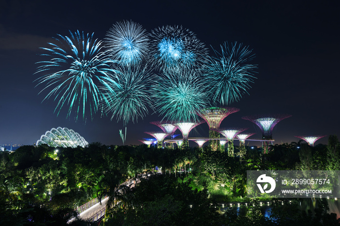 beautiful firework over Gardens by the bay at night, Singapore