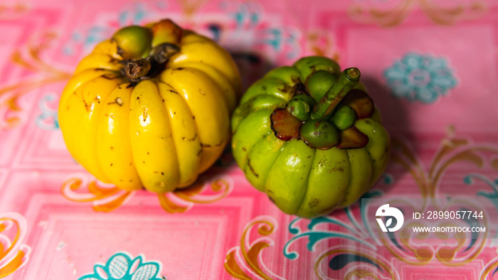 Garcinia atroviridis, known as asam gelugur or asam keping on a pink background.