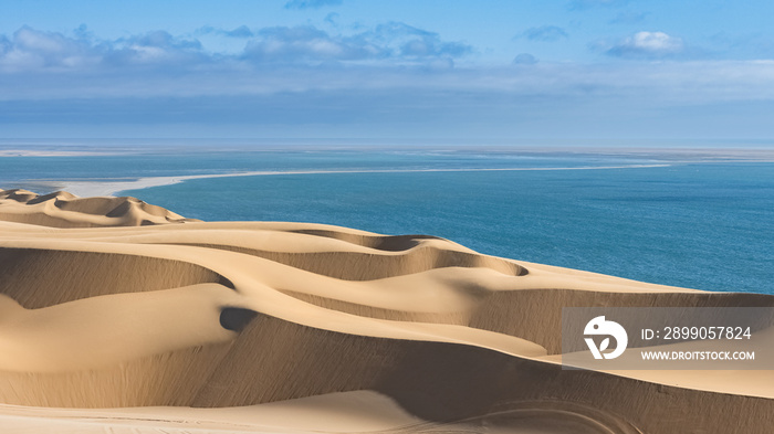 Namibia, the Namib desert, landscape of yellow dunes falling into the sea, the wind blowing on the sand