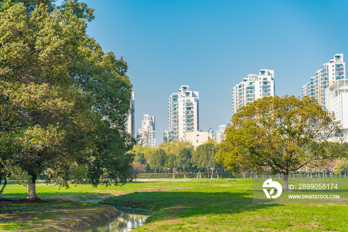 City park in Suzhou, with green lawn and residential buildings.