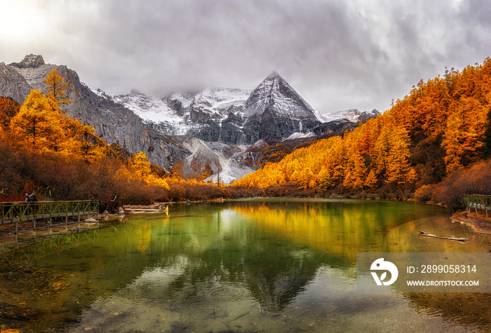 Panorama of Pearl Lake with the holy snow mountain in autumn season in yading nature reserve, Daocheng County, southwest of Sichuan Province, China.travel and tourism,famous place and landmark concept