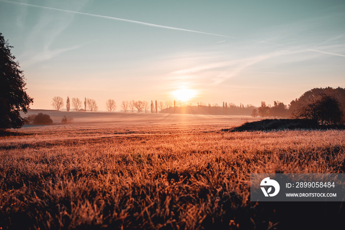 Calm and wonderful peaceful winter morning with frozen grass meadow and white nature and colorful ealry morning sunrise tones. Frosty white winter wonderland in the countryside with shadows