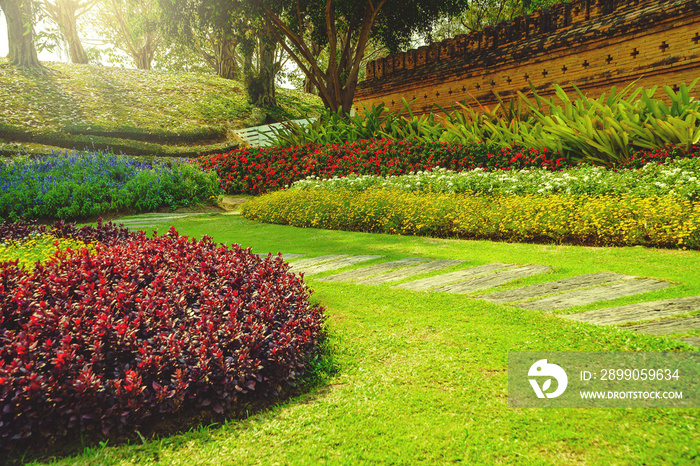 Patterns of concrete walkway step on the green grass in the park, Pathway in garden, Green lawns with bricks pathways, Garden landscape design.