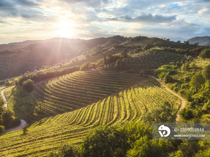 Aerial view of beautiful terraces countryside during sunlight. Montevecchia, Lecco, Italy