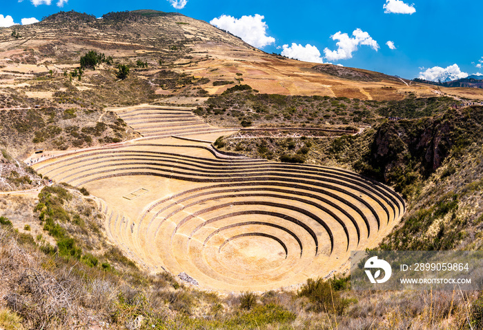 Agricultural terraces at Moray in the Sacred Valley of Peru