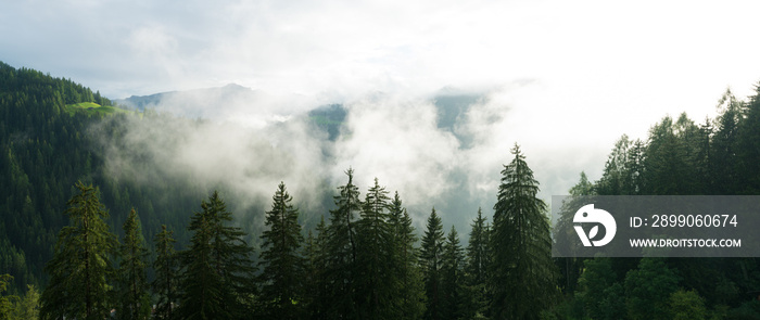 sun shining through fog and clouds after rain in a forest and mountain landscape