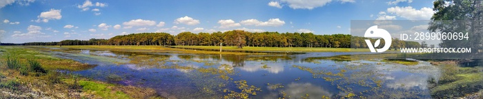 Panorama of Star Ranch Boat Launch on Caddo Lake.