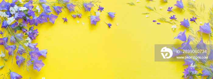 blue wild flowers on yellow background