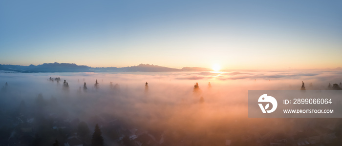 Aerial view of a residential neighborhood covered in a layer of fog during a vibrant sunrise. Taken in Greater Vancouver, BC, Canada.