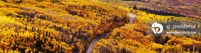 Autumn in Colorado